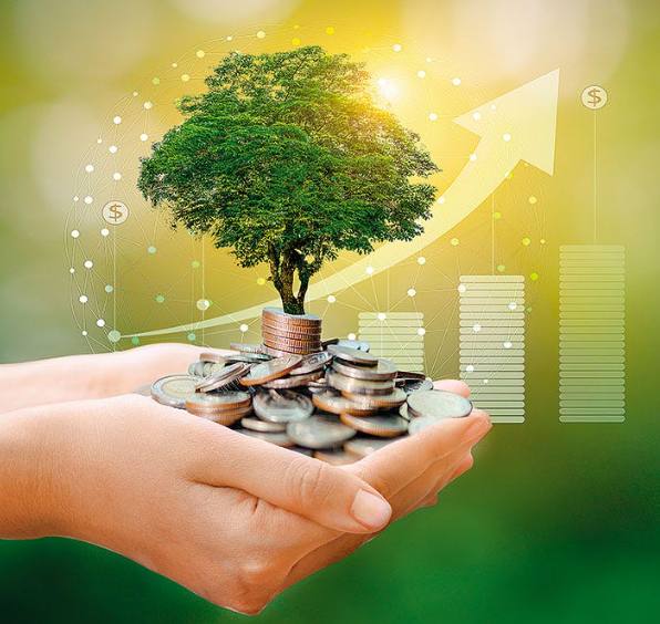 How to Navigate an Income Crisis and Rebuild Your Financial Stability
