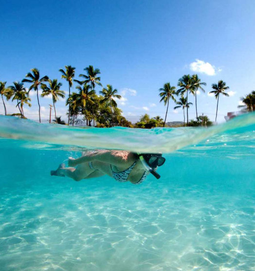 Top 10 Snorkeling Destinations in the United States