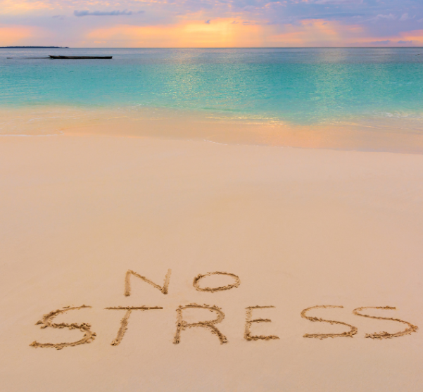 How to Enjoy Your Vacation Without the Stress