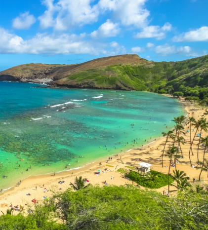Oahu All-Inclusive Pass Review 2025: Is It Worth the Investment?