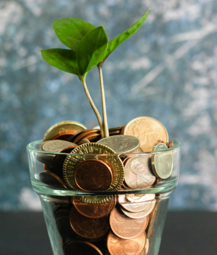 Your Guide to Startup Financing and Personal Investment