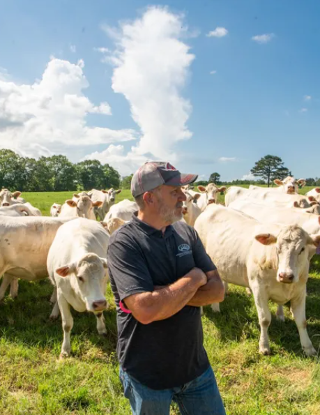 How to Turn Your Land Into a Profitable Asset